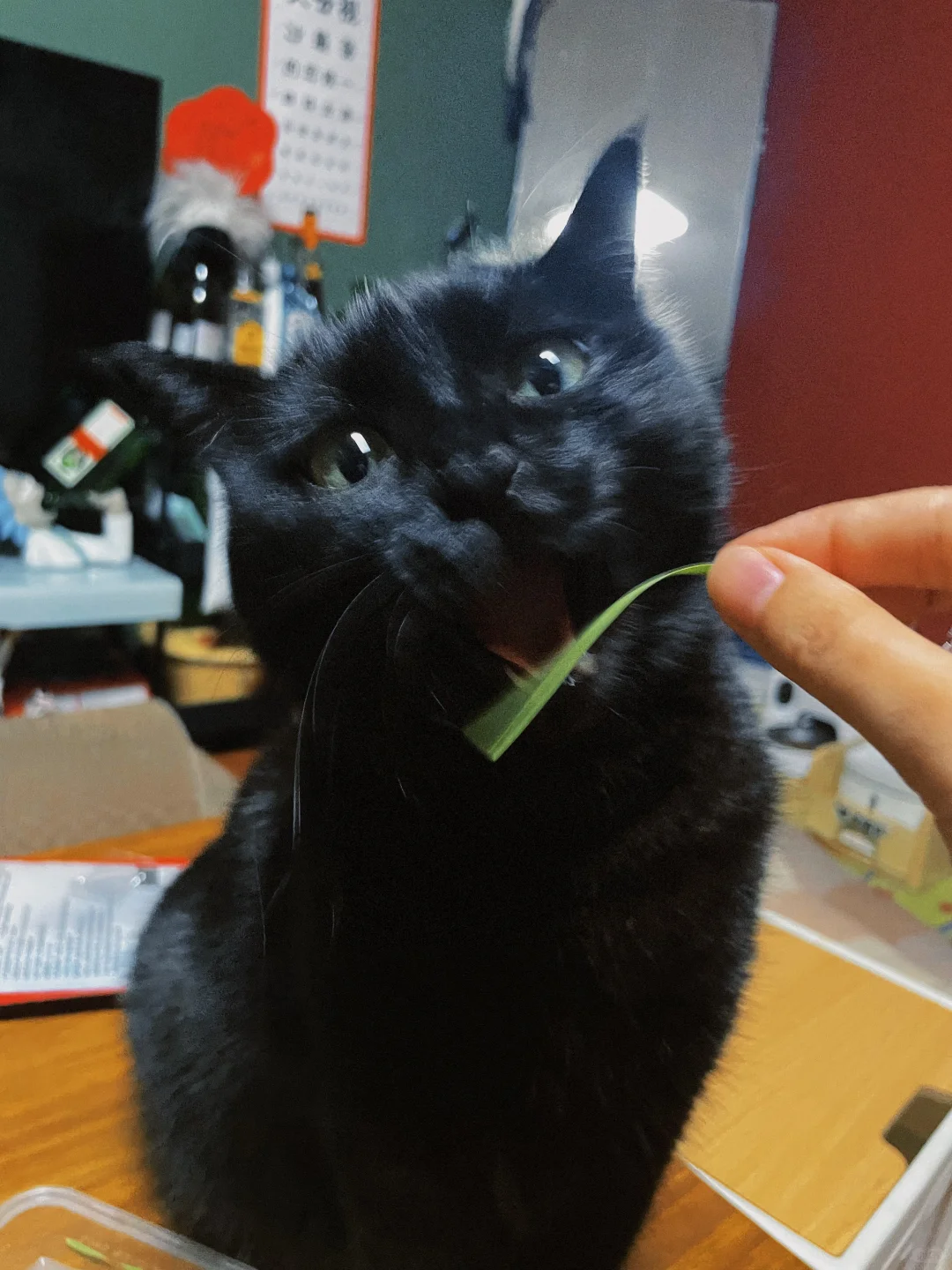 《好吃到想si》 🥣 👄 扶额 …