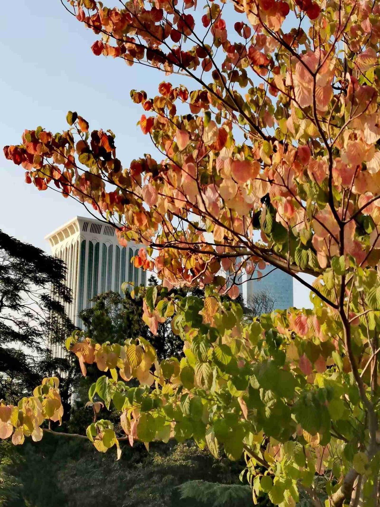 我的今日状态：😁轻松愉快
我这里的天气：☀️晴天，气温小幅回升，6至9℃，出门