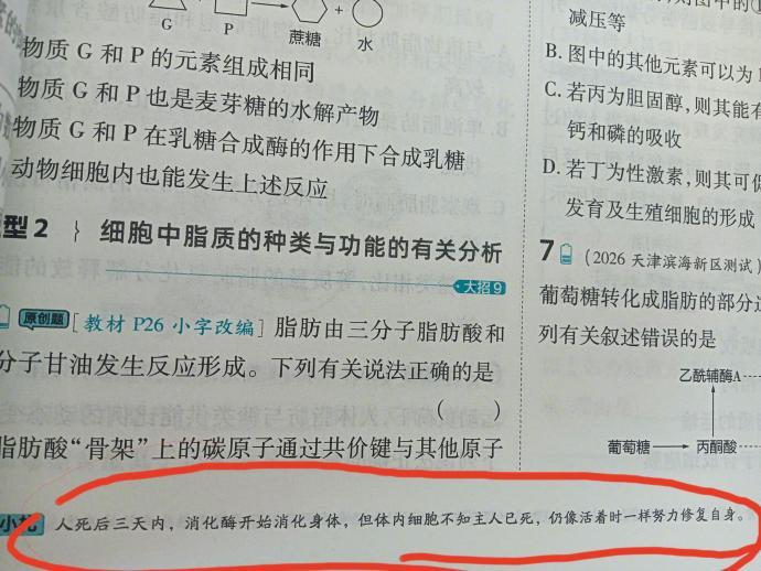 你的身体比你想象中的更爱你 ​​​