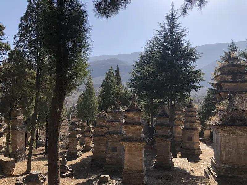 最近网上流传一份文件，说嵩山少林寺要组织全寺僧众集中看NBA季后赛，特别关注文班