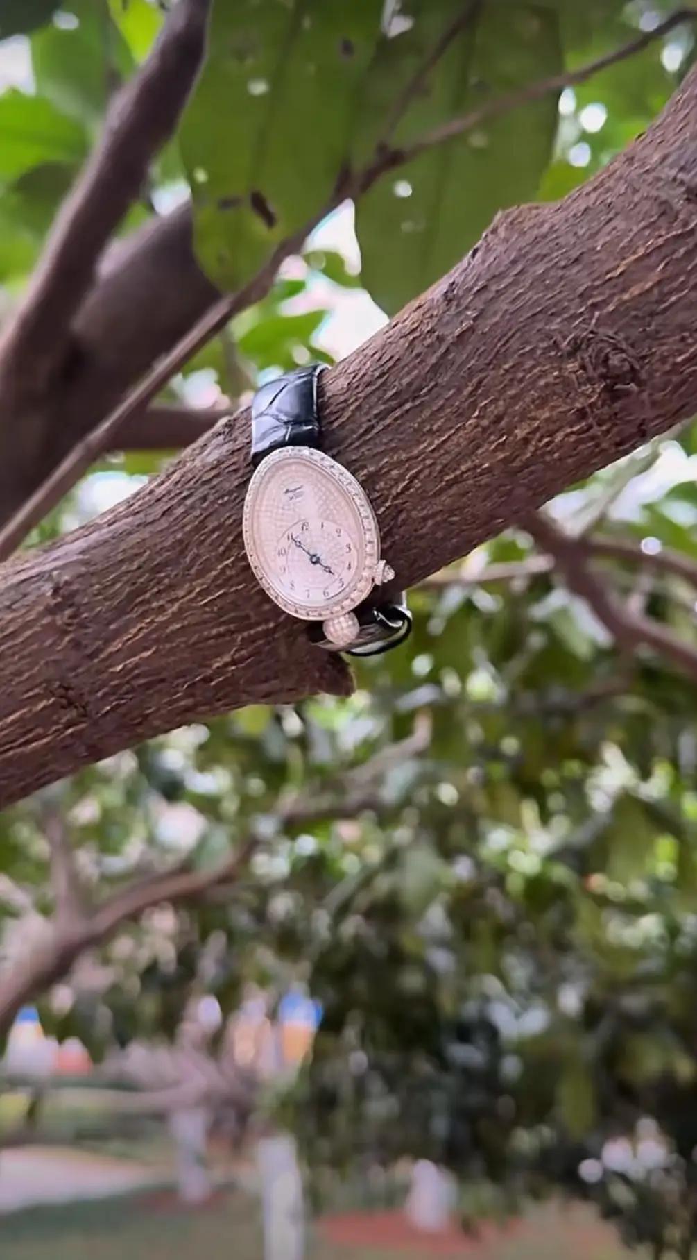 2026年最幸运的一天，居然是40万的手表挂在树上好几天。

这失而复得的手表，