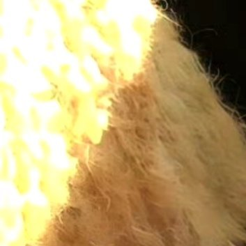 在人生的旅程中，每个人的生活都离不开别人的帮助，因为自然界的任何事物都是一个普遍