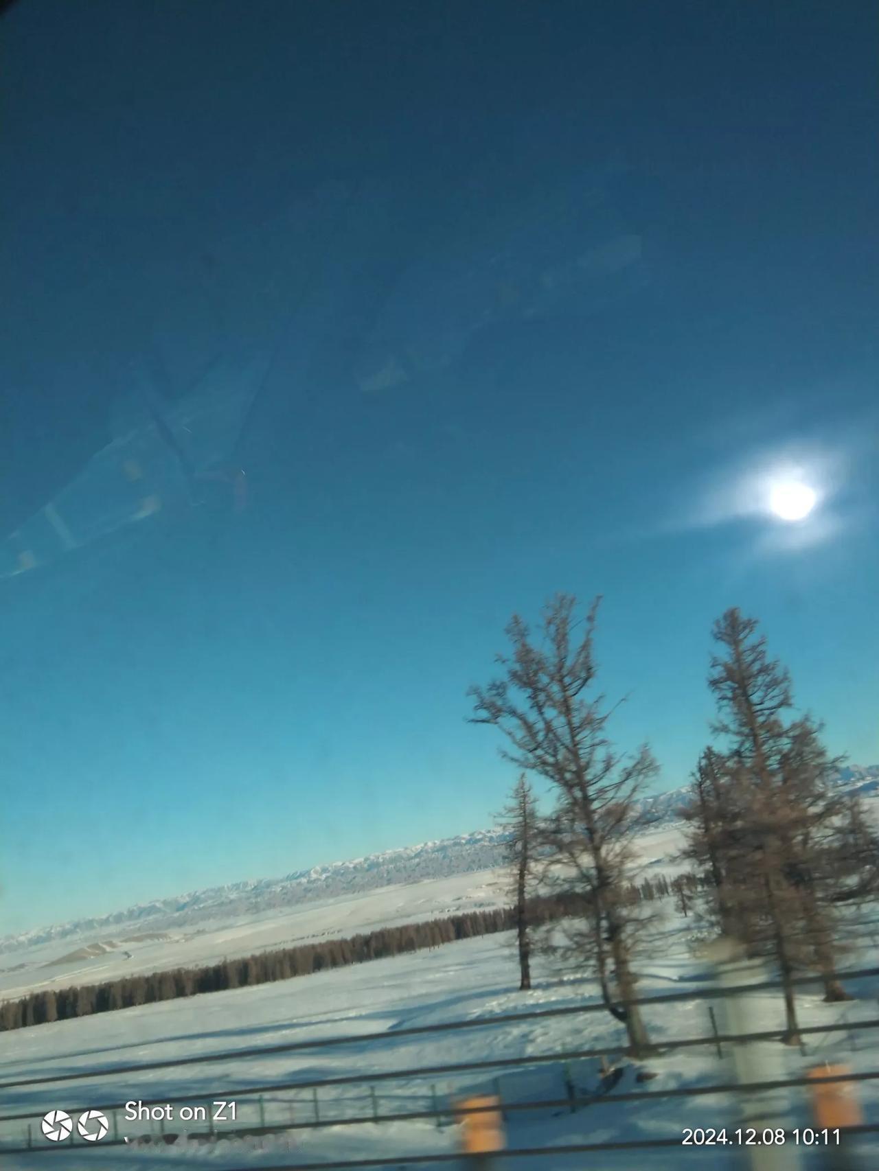 雪映寒林静，霜凝远树寒。