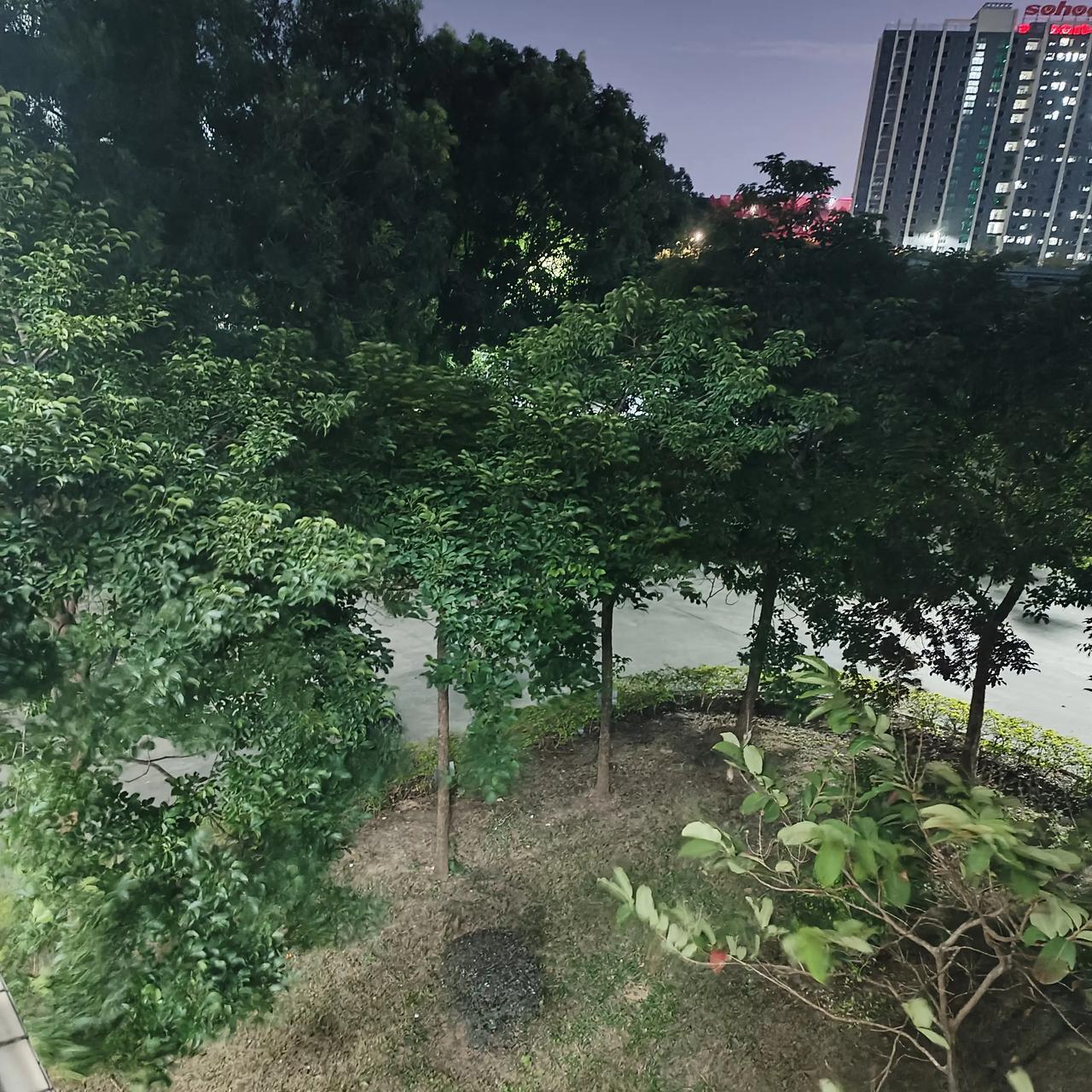 今晚上夜班，寒风凛冽，竟然已是严冬气候，马上背起了王勃的滕王阁序，瞬间觉得热血沸