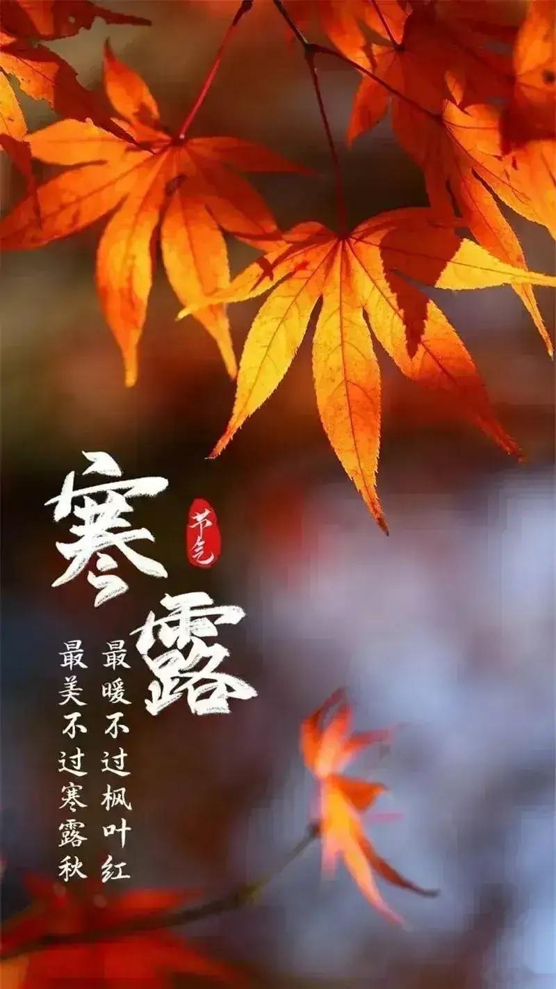 今天是10月8日农历8月24，今天不仅是寒露节气，还是60年难得一遇的天时大年，