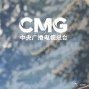 每日一善 💚罗一舟宝鸡银杏音乐节 人最重要的是心灵的安稳与平静，何必跟自己过不