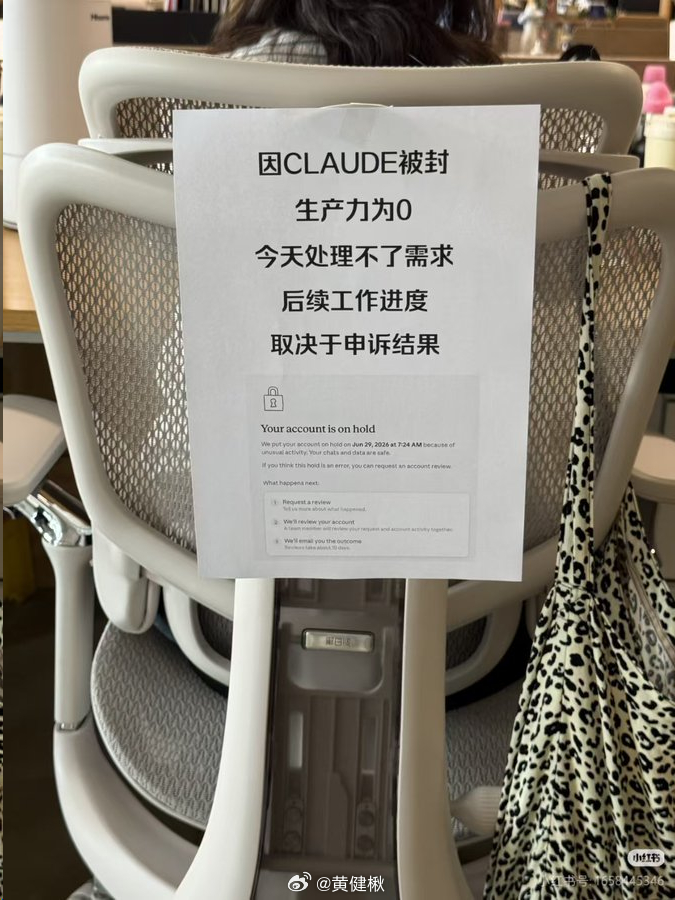 卖家秀：程序员被替代了买家秀： 