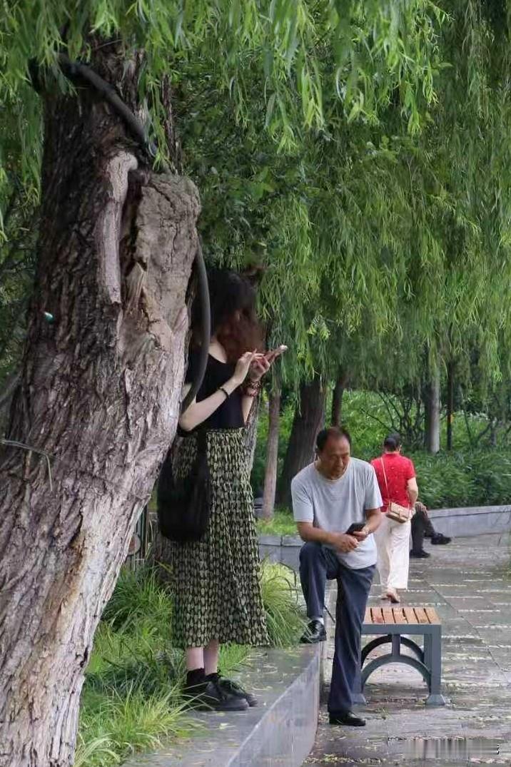 单身老人的困惑（十二）

王大哥今年六十八岁，育有一儿一女，去年他老伴过世了，今