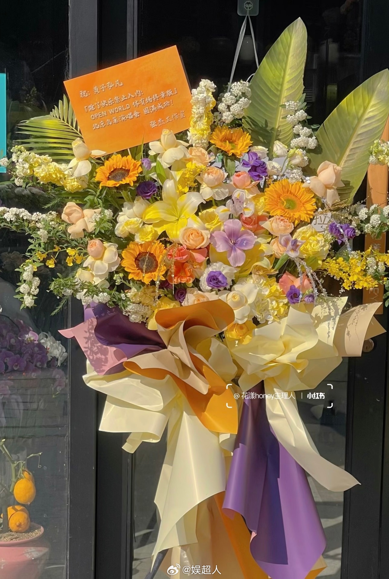 张杰送黄子弘凡花篮张杰给黄子弘凡送花篮 杰哥给黄子弘凡演唱会送了花篮💐又要幸福