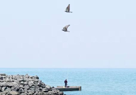 美国打得比俄罗斯还窝囊，俄罗斯再怎么说也顶着北约30多国的压力在乌克兰熬了4年，