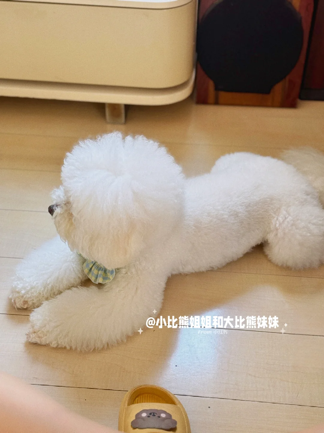 今日美容前先营个业🈺