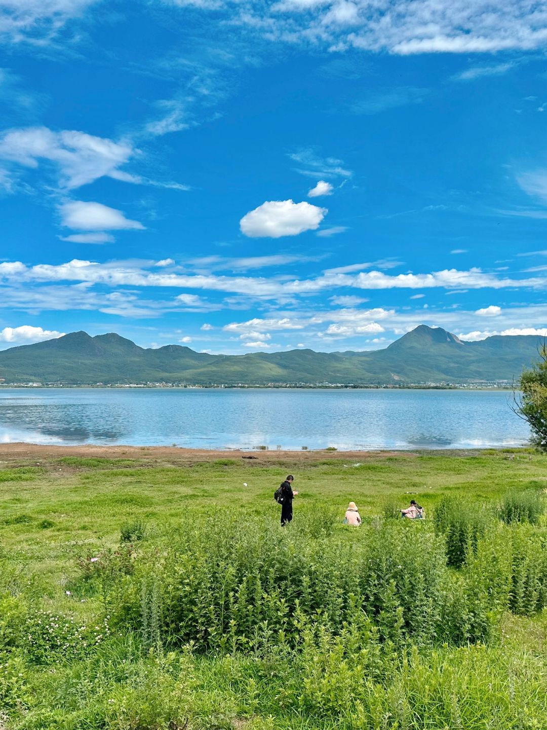 拉市海的一天行程｜150套票到底值不值