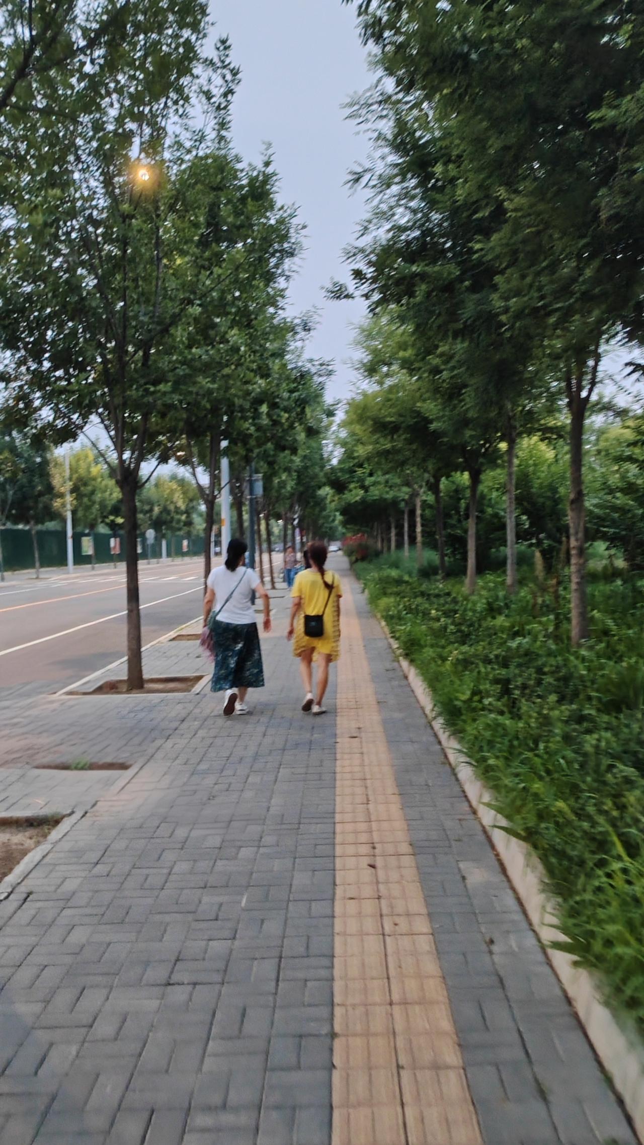 不要因为自己是普通人就感到气馁，这世间绝大多数的美好，都是由无数个普通人创造的。