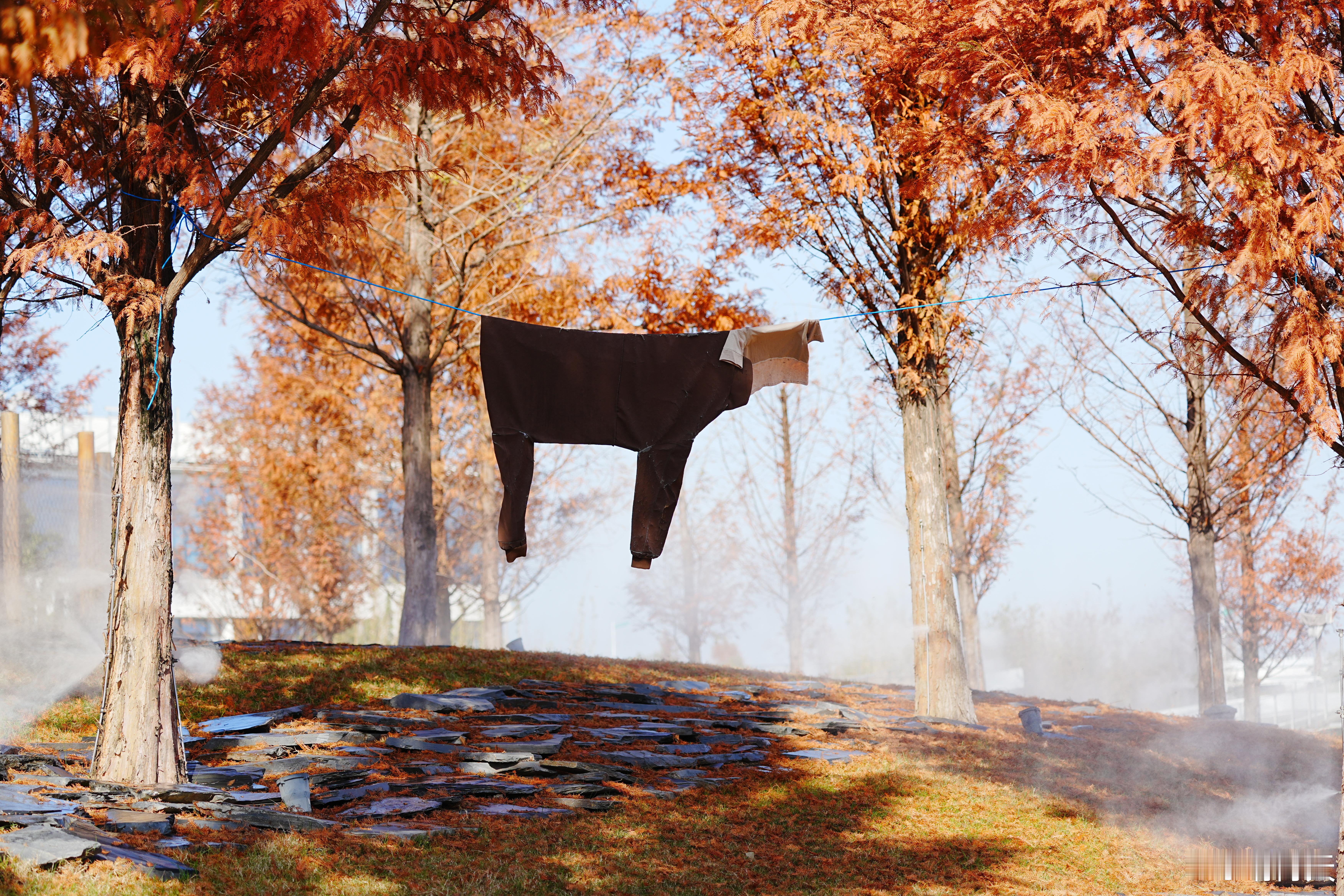 这是一头_________？蜗的摄影日记 出片事务所