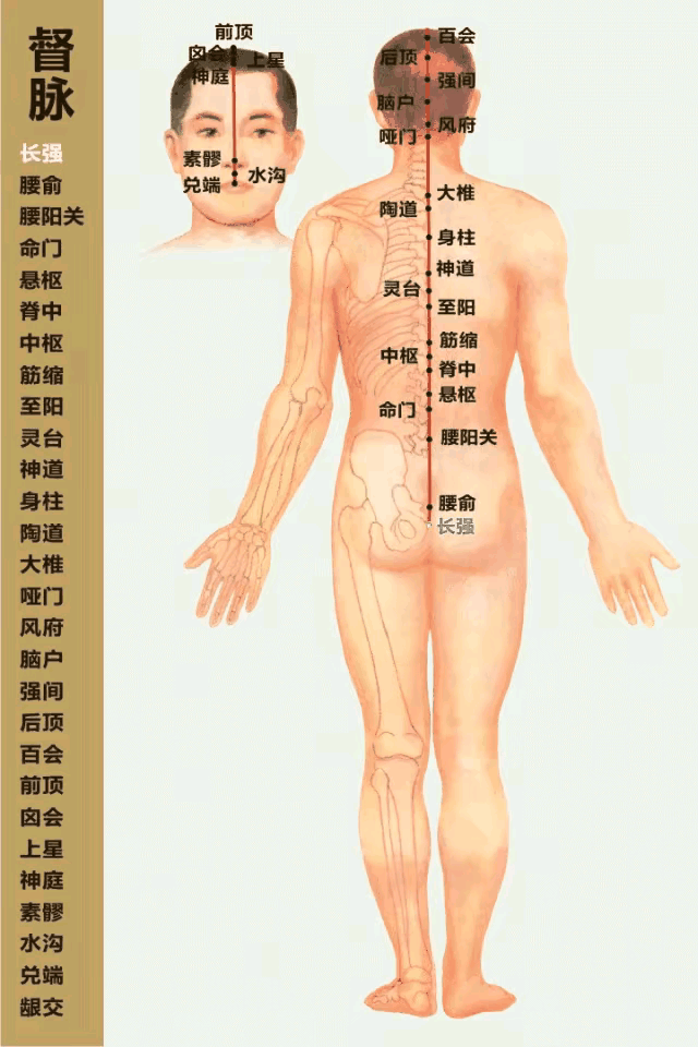 你是否对身体的经络系统感到好奇？今天，我要给大家带来一份神奇的礼物——3D经络动