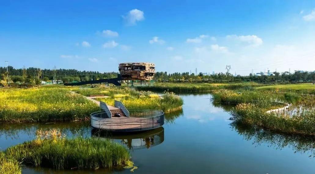 【“卷”绿化，北京朝阳是认真的！】生态朝阳 近期，被誉为“绿色奥斯卡”的2025