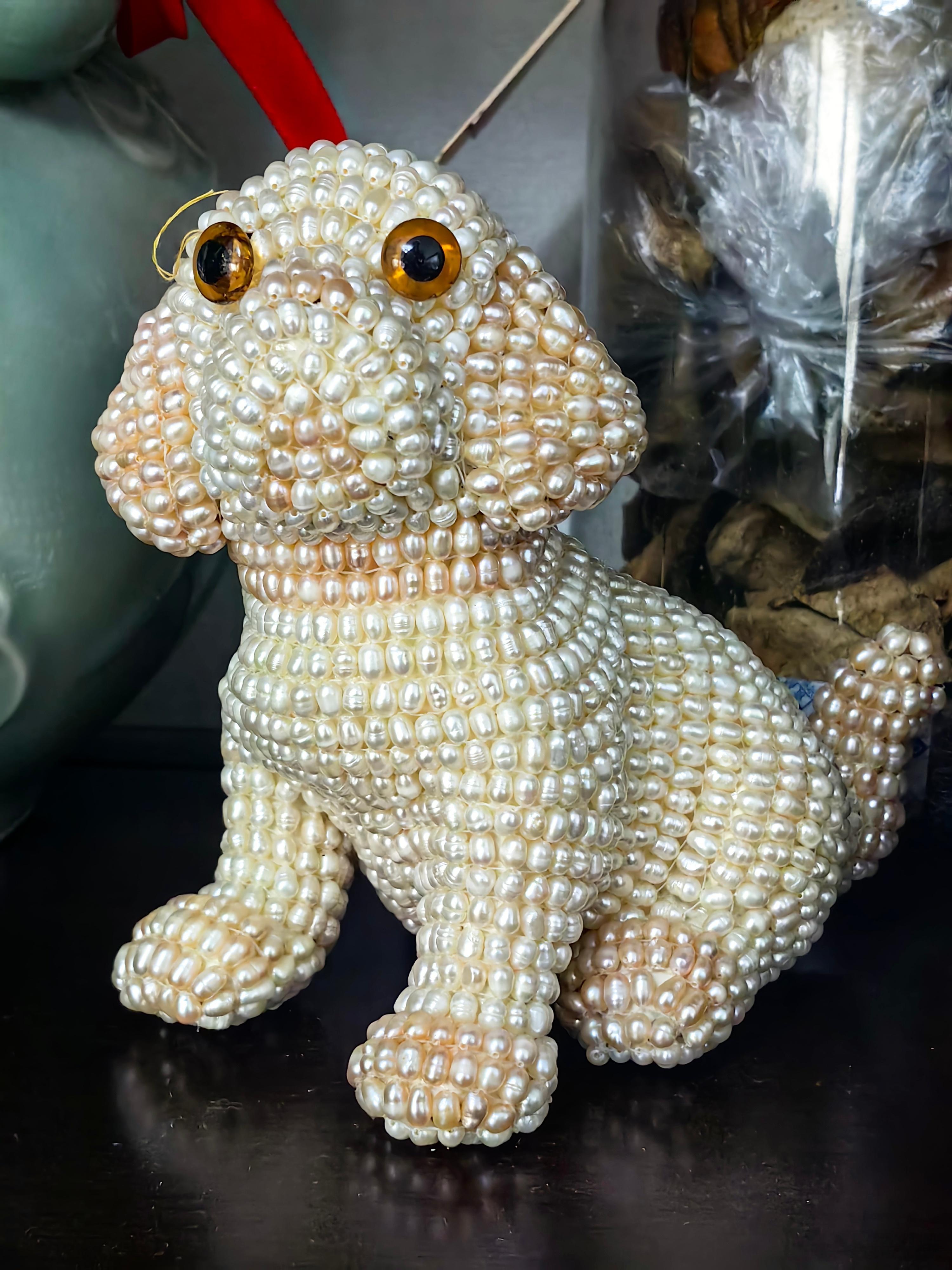 专家称装死小羊可以人工繁殖更多只这只可爱的宝宝又登上热搜了，想起已经离开我的我养