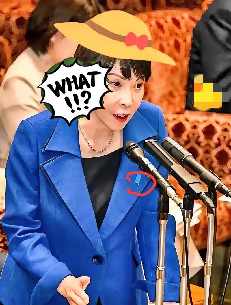 冲绳民众闯国会抗议！日本扩军背后，70%美军基地压垮弹丸之地
 
11月14号，