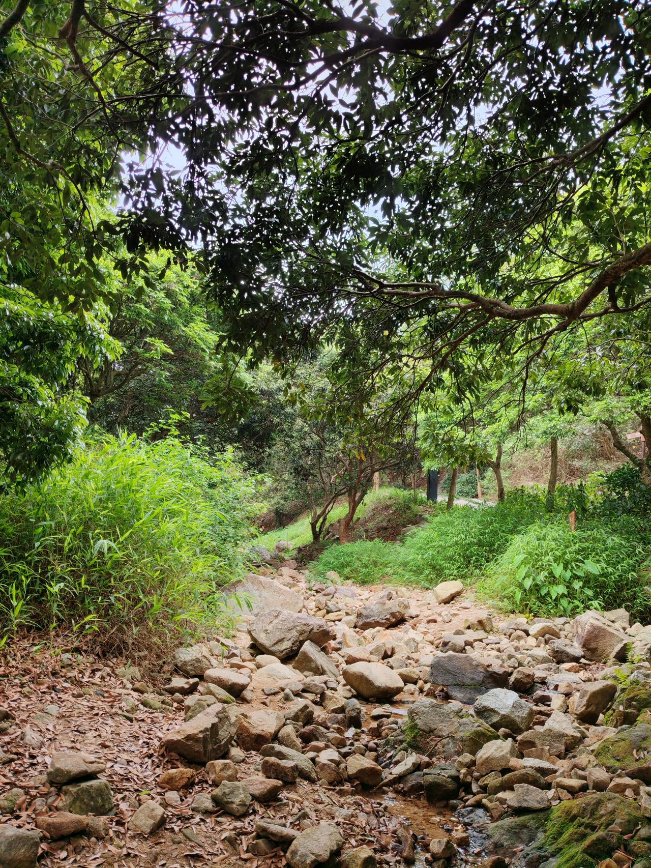 楼市未来走势分化明显，已告别普涨时代。长期来看，25 - 44岁主力购房人口下滑