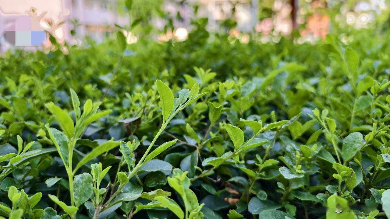 现在真是啥人都有，表妹今天气得直骂人。

今天和表妹打电话问个事，她给我抱怨最近
