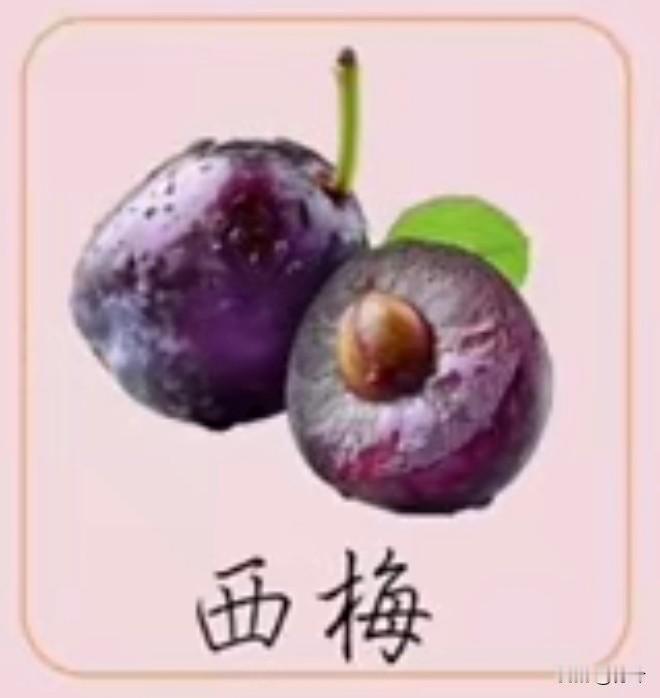 采桑子56·西梅
       紫丸轻缀枝梢畔，皮染霜痕，瓤透甘醇，一啮甜柔浸齿