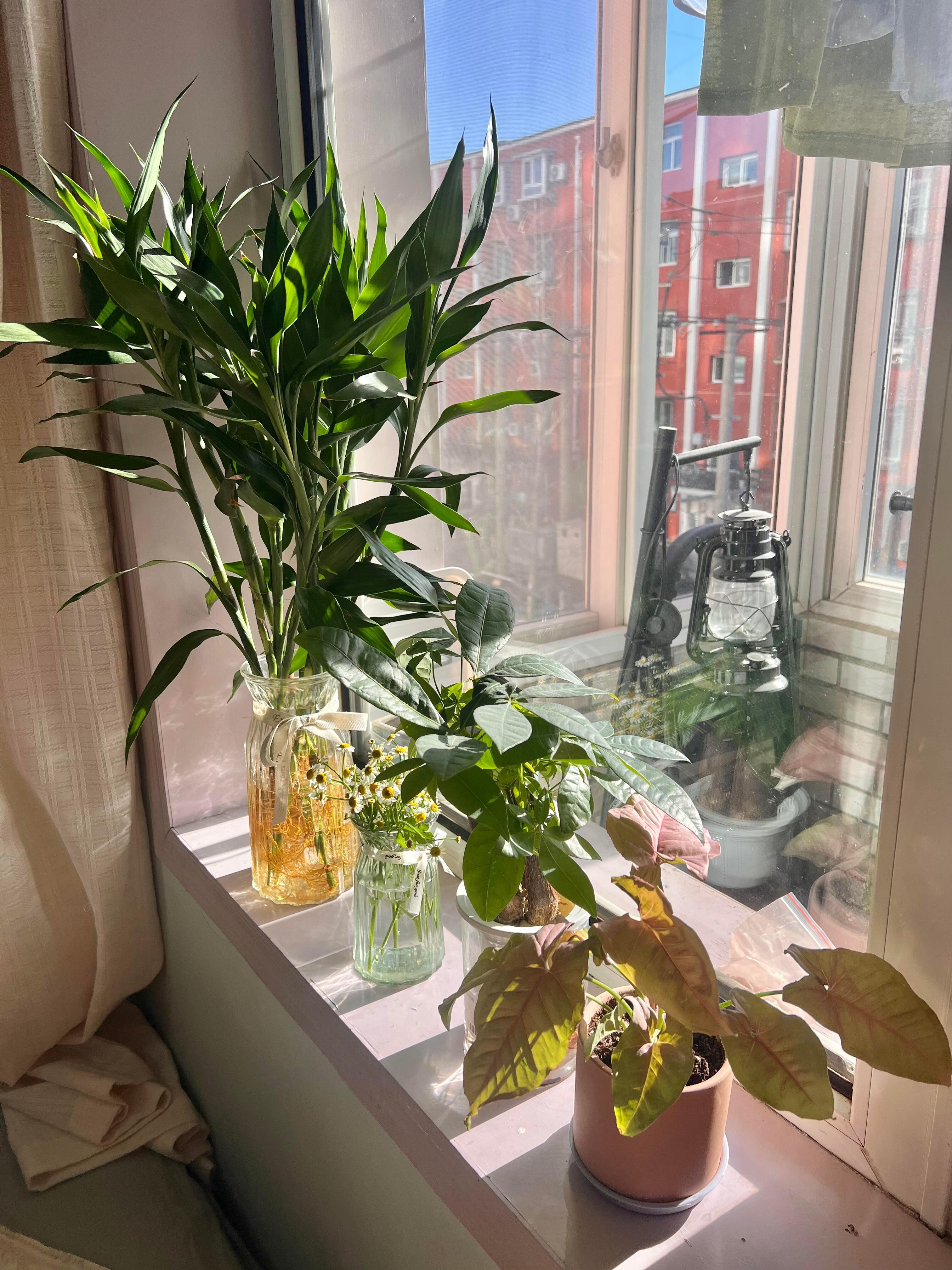 在一个普通的周六上午  我感到如此幸福昨晚关掉了所有闹钟  早上睡到自然醒   