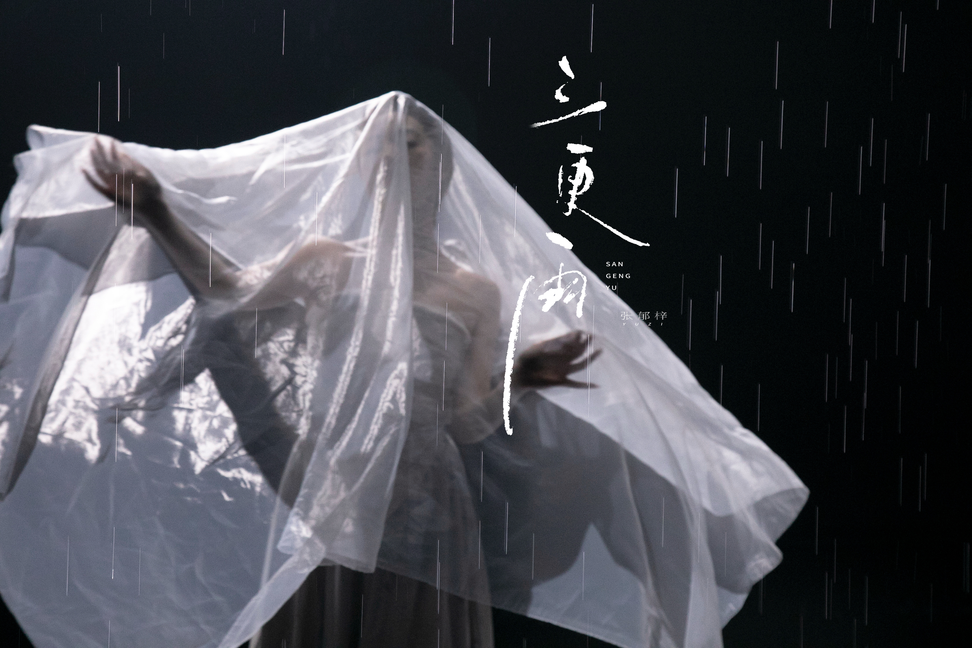 叹花事未竟  蘸残墨再留下几句﹎张郁梓新歌三更雨