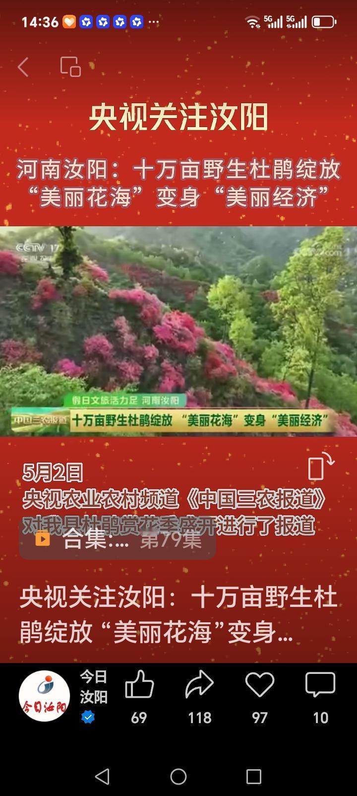 朋友们好消息来了近日，央视关注汝阳，十万亩野生杜鹃绽放花海，变身美丽经济。不仅丰