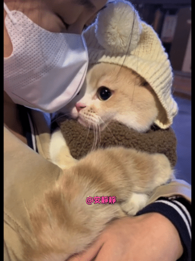 纯萌纯萌的[泣不成声]真的会狠狠把它给吸秃，这也太可爱了吧！！！