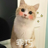 大鸡捧汽车
