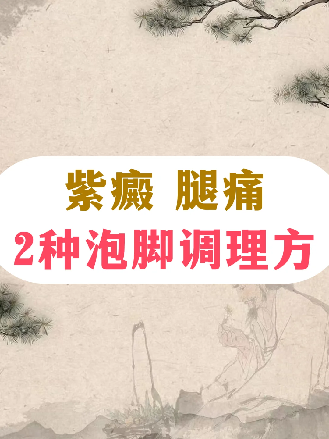 紫癜腿痛？中药2种泡脚方，帮你缓解
