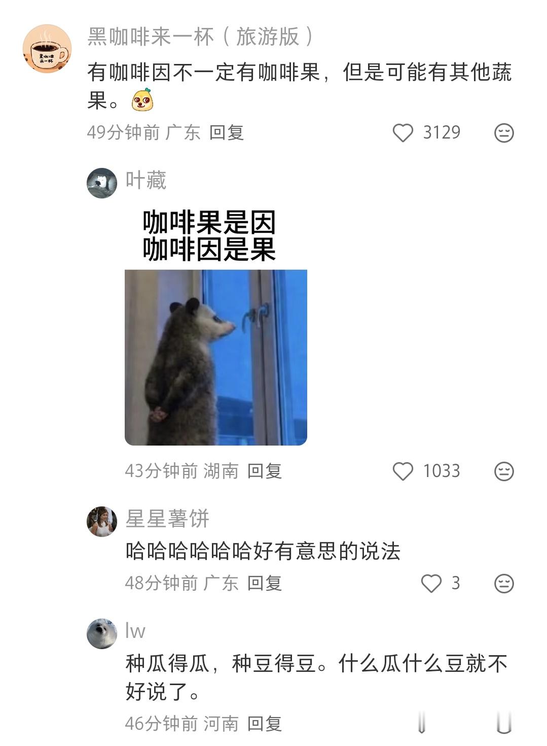 咖啡渣的用处还真多啊，我记得能祛味，原来还能当肥料 