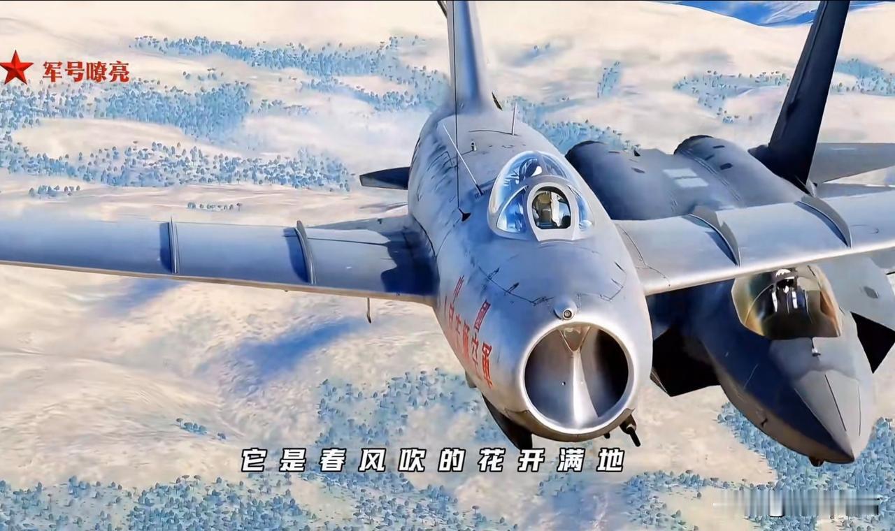 我认为，那些已经退役但仍能飞行的歼 - 5、歼 - 6、歼 - 7、歼 - 8战