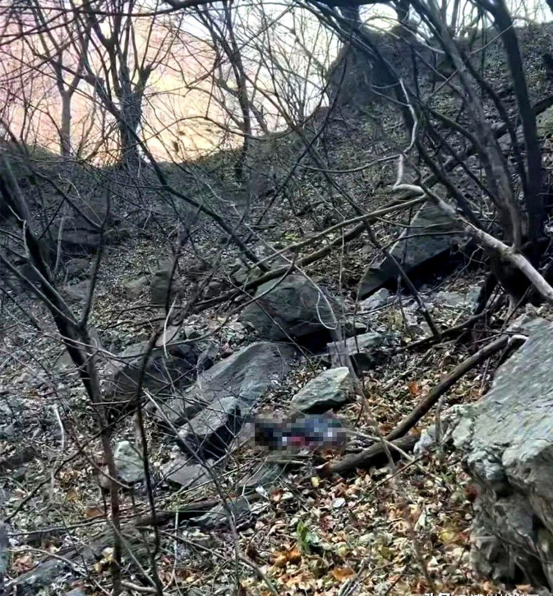 11月19日，在新乡辉县市上午峪附近失联43天的饶光辉被找到，已确认遇难。
户外