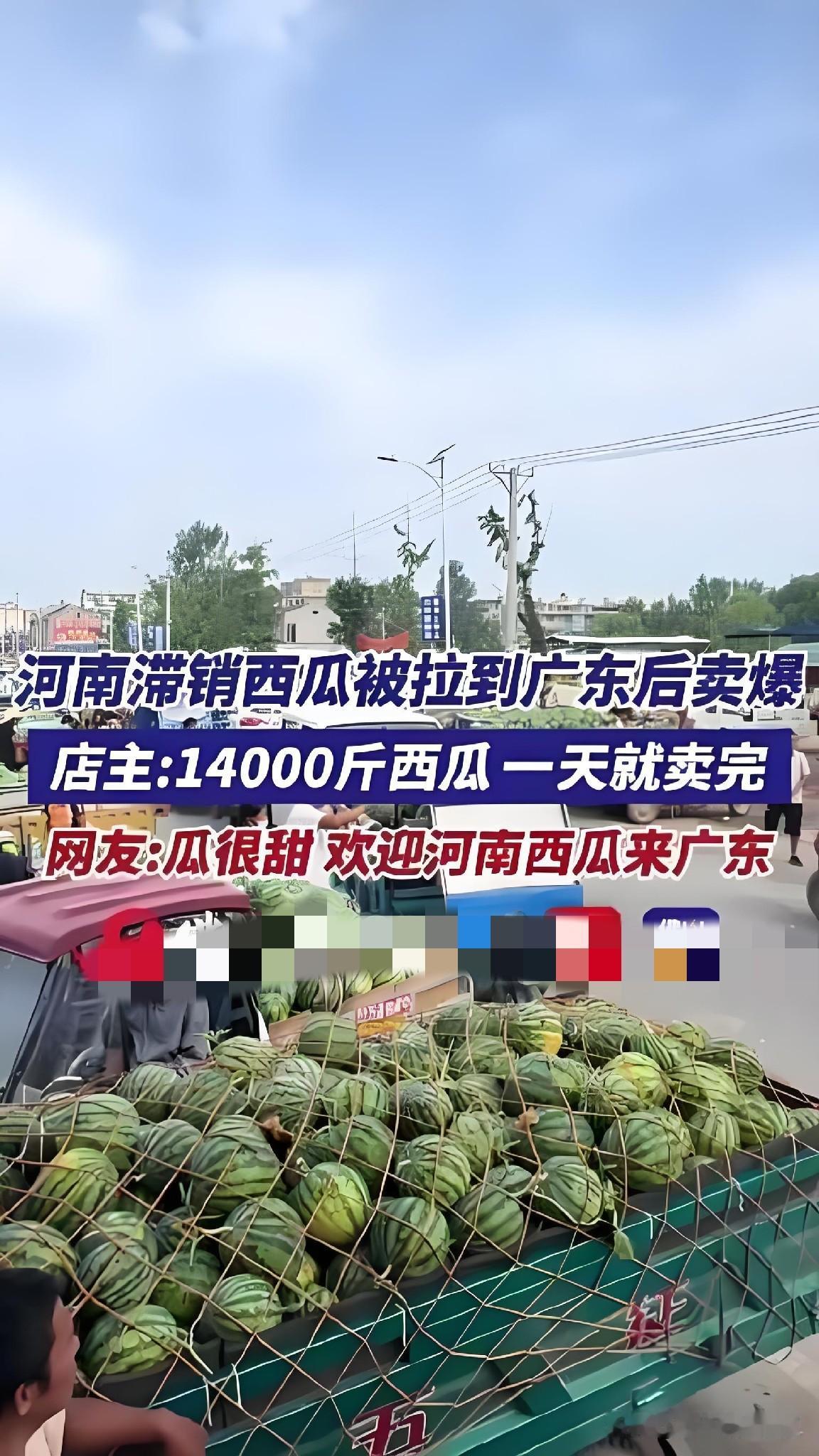 河南作为全国西瓜产量第一大省，今年因集中上市、供需错配，地头收购价最低跌至0.1