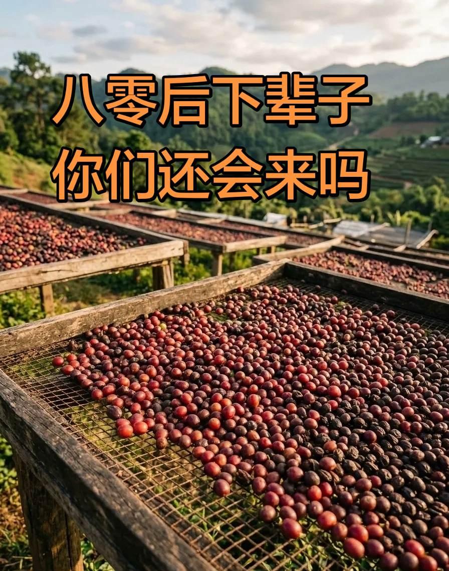 身边有位八零后朋友，现在当起了新农人。他打理着优质农产品果园，还种着咖啡。丰收的