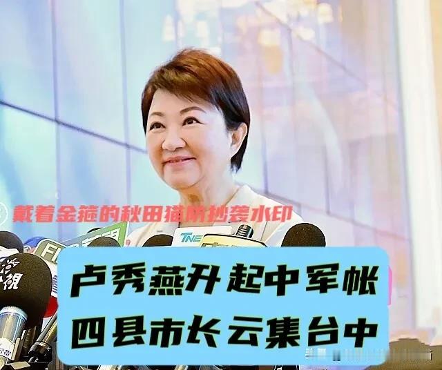 卢秀燕坐镇中军帐！
蒋万安、谢国梁、张丽善奔赴台中，蓝营四县市长闭门共商毒油案～