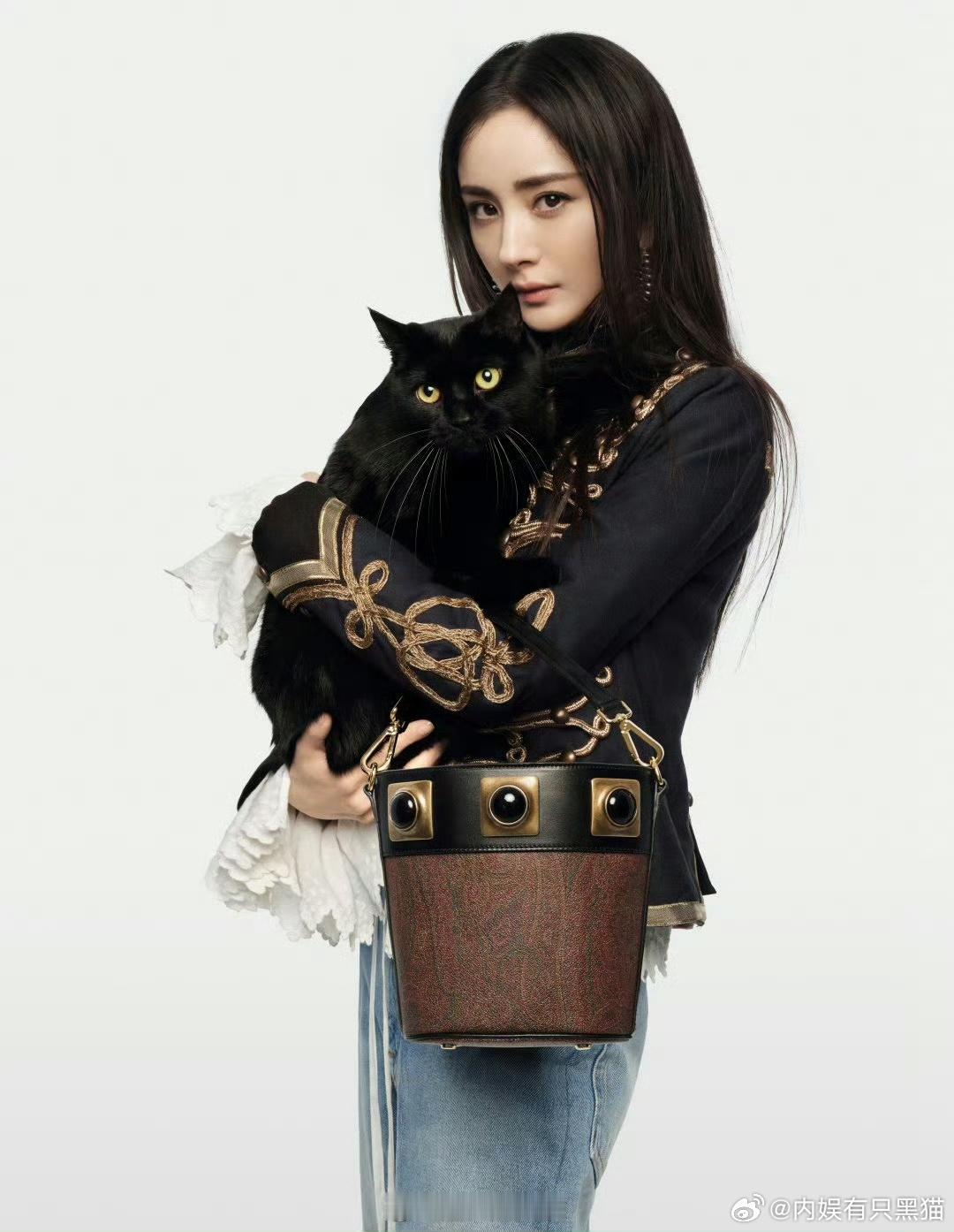 小黑秒了豹猫 