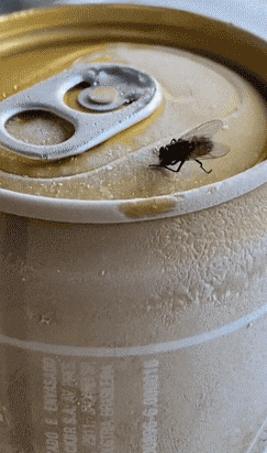 冬天在北方舔冰栏杆，大概也是这个效果吧