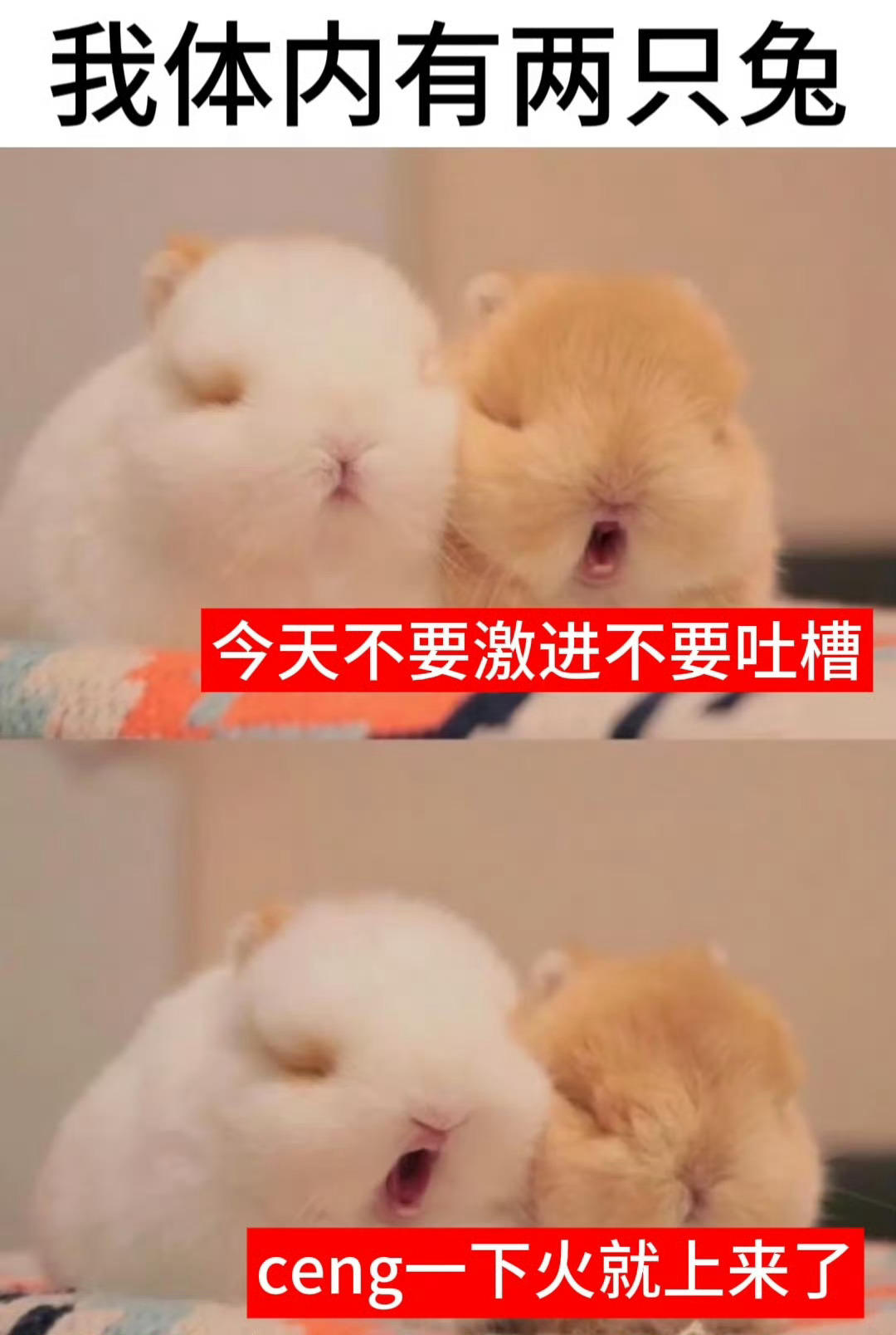今天的宁～就这样～去!哪那么多规矩！摩登兄弟[超话] ​​​