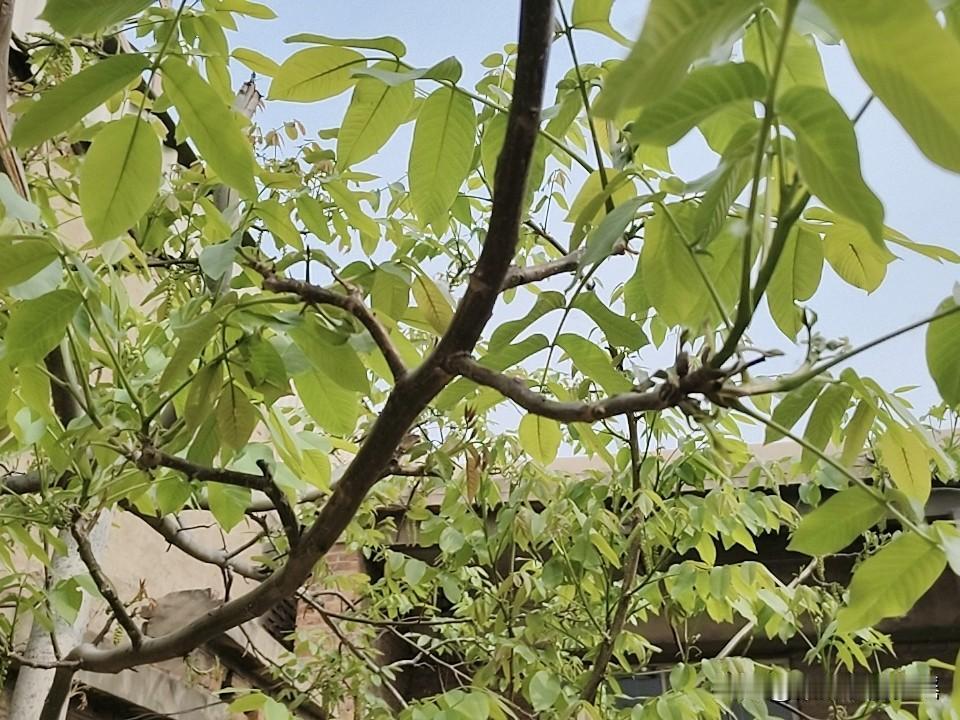 昨天，一个59岁的男人，跳井自尽，发现时已无力回天。

这个男人，靠维修电视机为