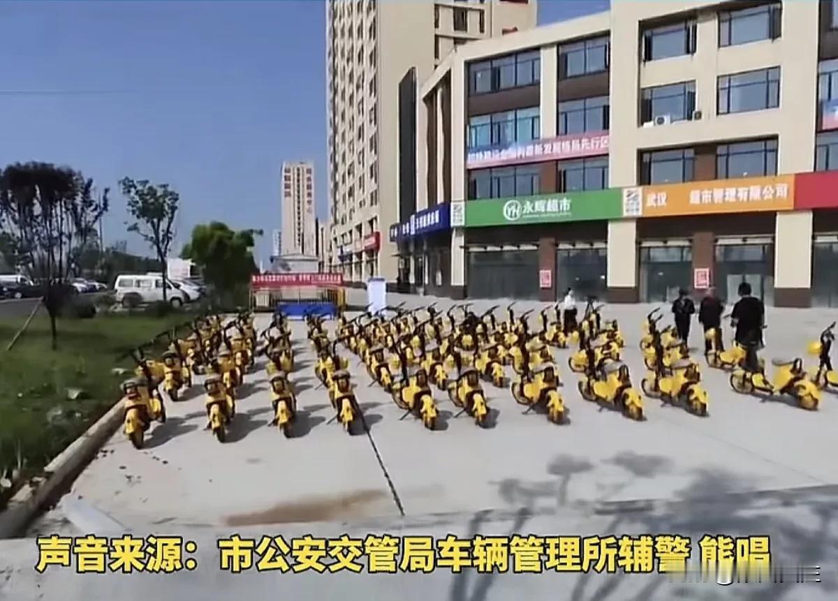 孝感市首批100辆共享电动车投放市场

近日，孝感市公安交管局对孝感首衡城首批1