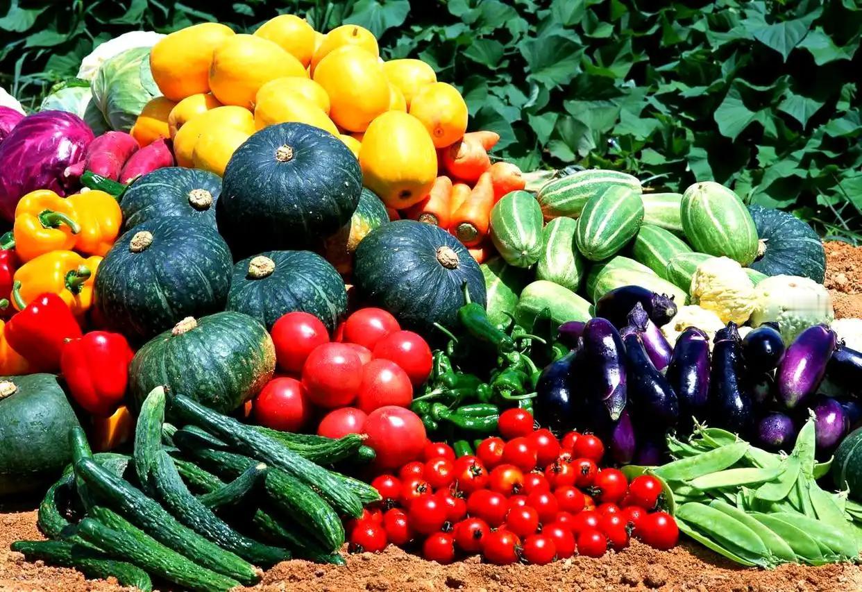 中老年人“微胖”更抗造？医生揭穿“老来瘦”误区
 中老年人越瘦越健康？真相恰恰相