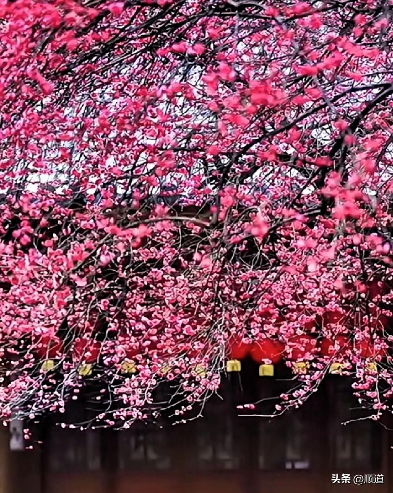 因为十年前他得了面瘫，又喝中药又扎针的治好了，我以为他那方面给扎坏了呢[捂脸][