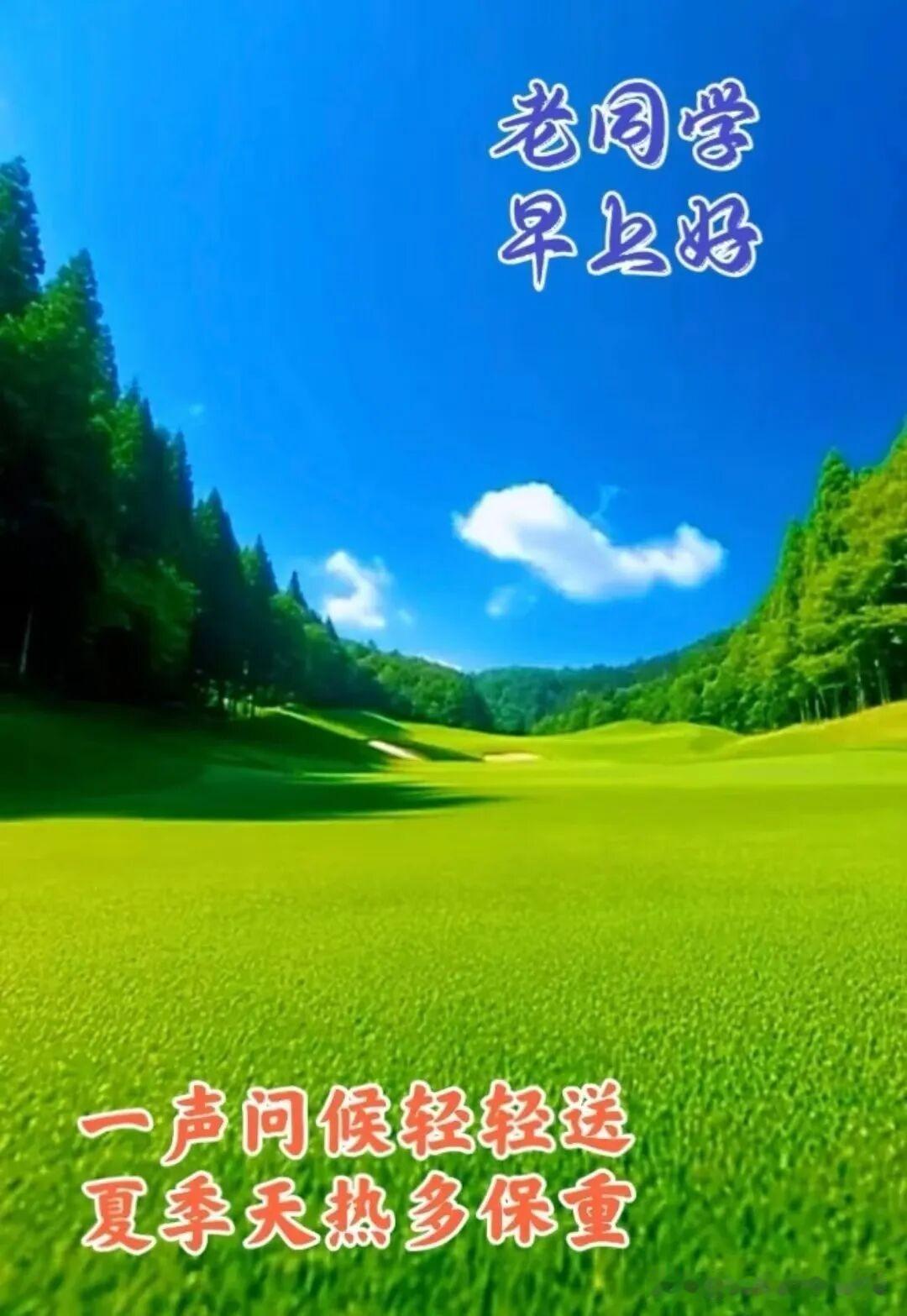 清新夏日，绿意盎然，问候老同学，早安好！🌿🌞