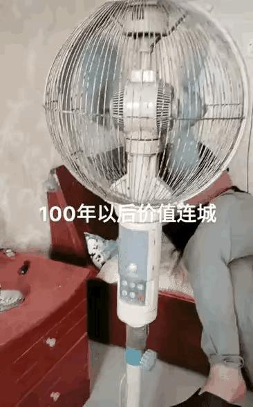 双个风扇叶的风扇，很多人估计见都没有见过。