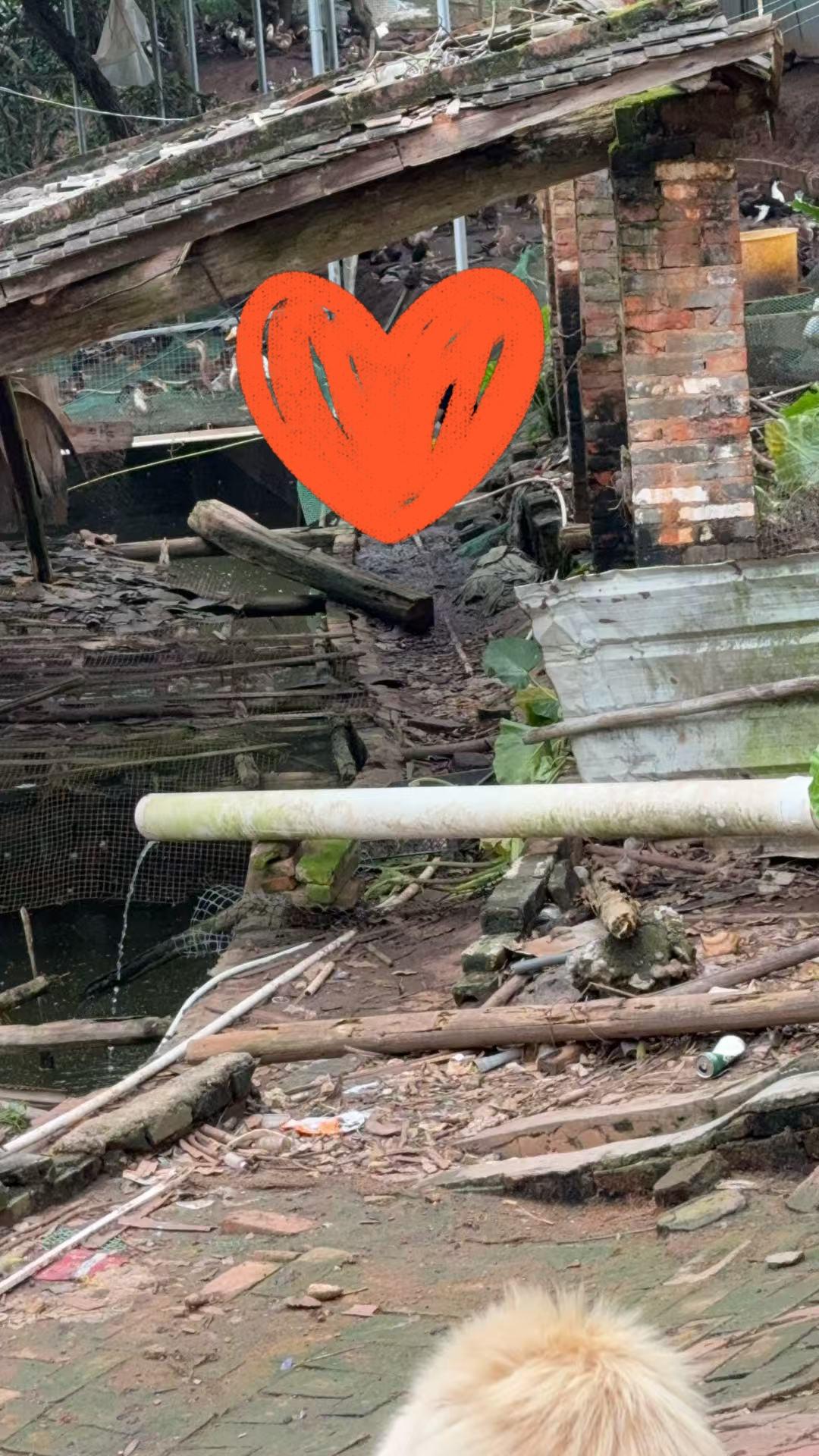 路还是这个路，家还是这个家，但你我已历尽沧桑，小时候拼命想逃离地方，却是长大后再