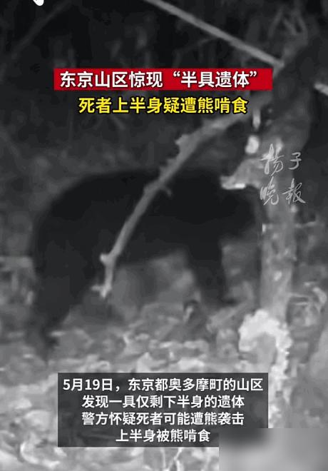 熊是饿疯了吗？！日本连爆两起夺命惨案！

说真的看到这消息我第一反应是后背发毛，