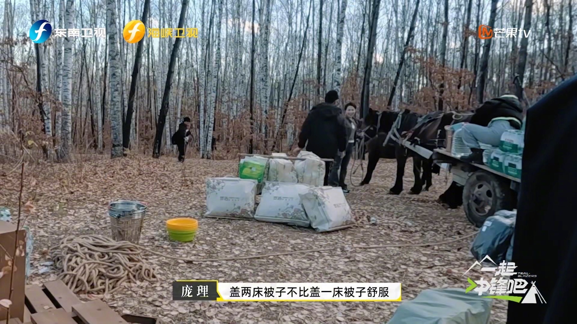 薅资本的羊毛还是资本最熟 薅资本的羊毛最熟悉最顺手的当然还得是资本在综艺《一起冲