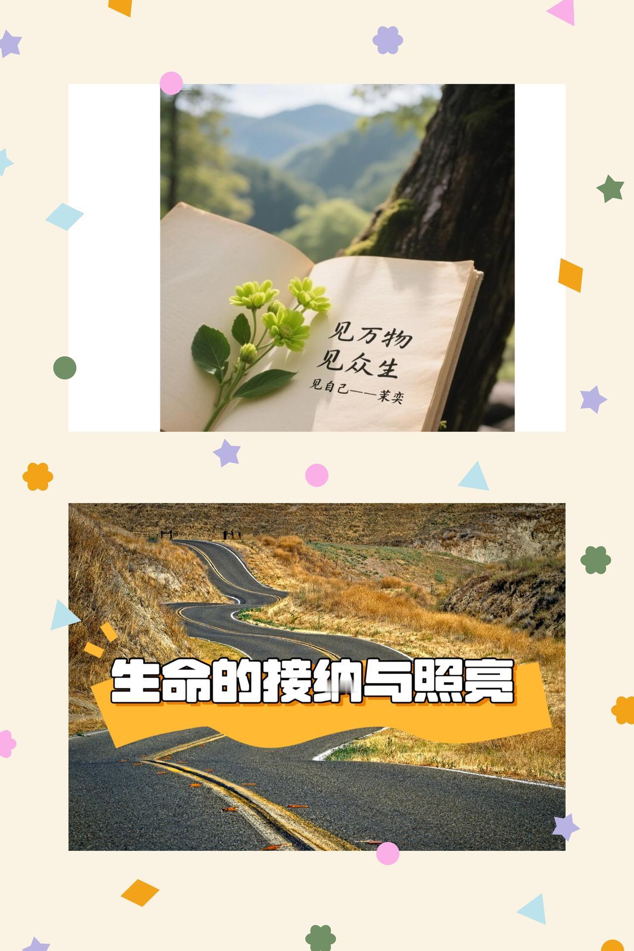 接纳过往，向阳前行
生活从没有“如果”，只有已成定局的结果。人生路上，不必为未选